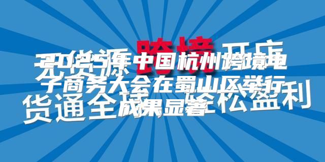 2025年中国杭州跨境电子商务大会在蜀山区举行成果显著