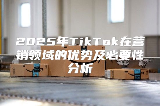 2025年TikTok在营销领域的优势及必要性分析