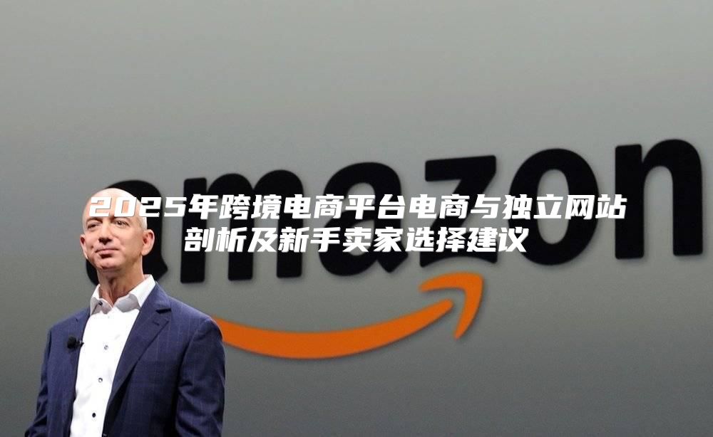 2025年跨境电商平台电商与独立网站剖析及新手卖家选择建议