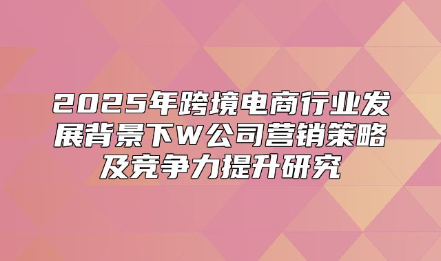 2025年跨境电商行业发展背景下W公司营销策略及竞争力提升研究