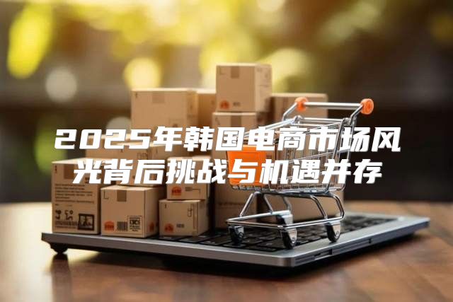 2025年韩国电商市场风光背后挑战与机遇并存