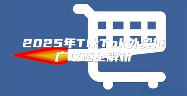 2025年TikTok外贸推广攻略全解析