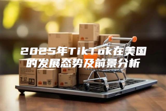 2025年TikTok在美国的发展态势及前景分析