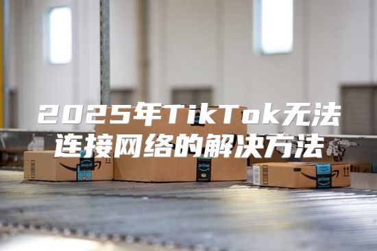 2025年TikTok无法连接网络的解决方法
