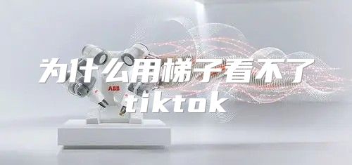为什么用梯子看不了tiktok