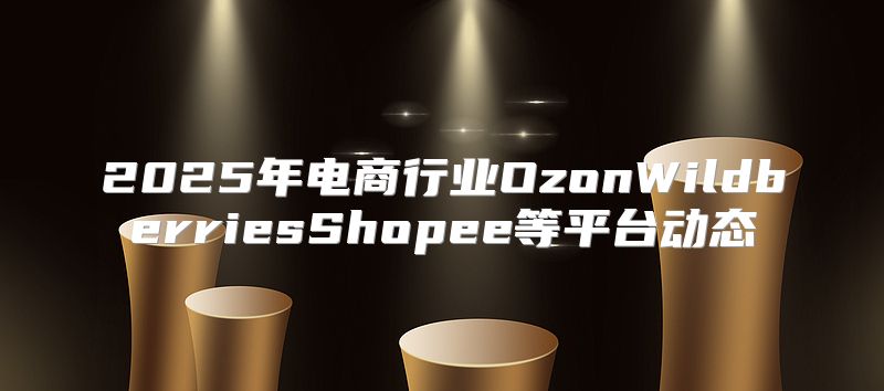 2025年电商行业OzonWildberriesShopee等平台动态