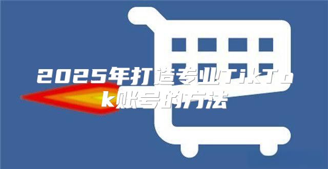 2025年打造专业TikTok账号的方法