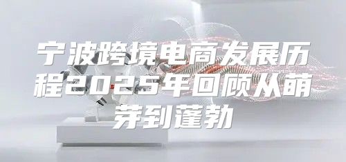 宁波跨境电商发展历程2025年回顾从萌芽到蓬勃