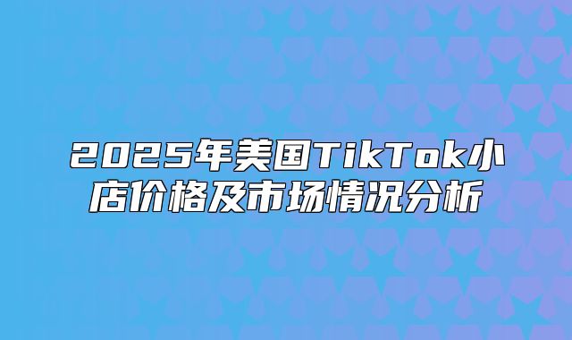 2025年美国TikTok小店价格及市场情况分析