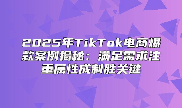 2025年TikTok电商爆款案例揭秘：满足需求注重属性成制胜关键