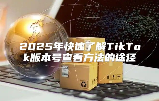 2025年快速了解TikTok版本号查看方法的途径