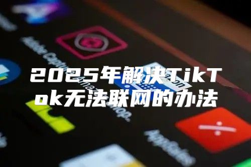 2025年解决TikTok无法联网的办法