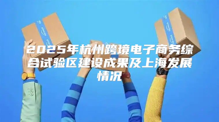 2025年杭州跨境电子商务综合试验区建设成果及上海发展情况