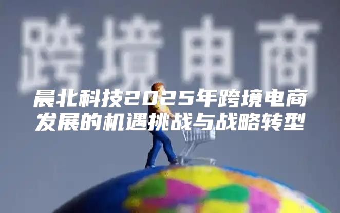 晨北科技2025年跨境电商发展的机遇挑战与战略转型