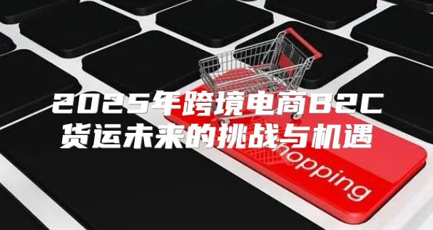 2025年跨境电商B2C货运未来的挑战与机遇