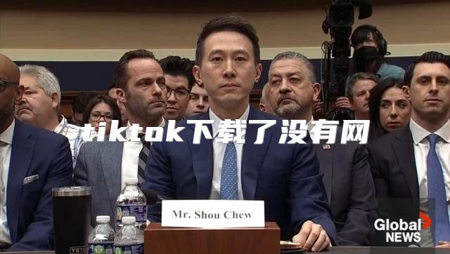 tiktok下载了没有网