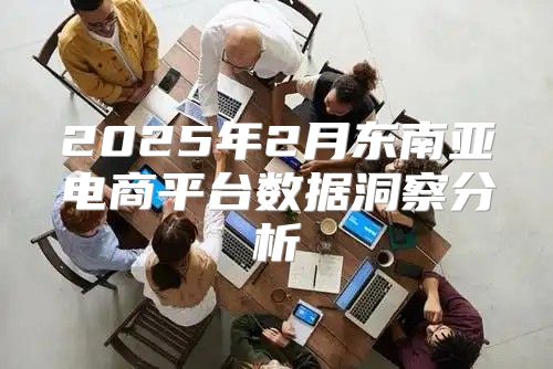 2025年2月东南亚电商平台数据洞察分析