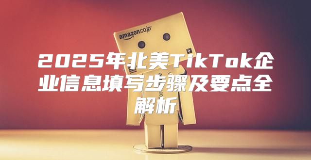 2025年北美TikTok企业信息填写步骤及要点全解析