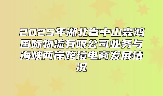 2025年湖北省中山森鸿国际物流有限公司业务与海峡两岸跨境电商发展情况