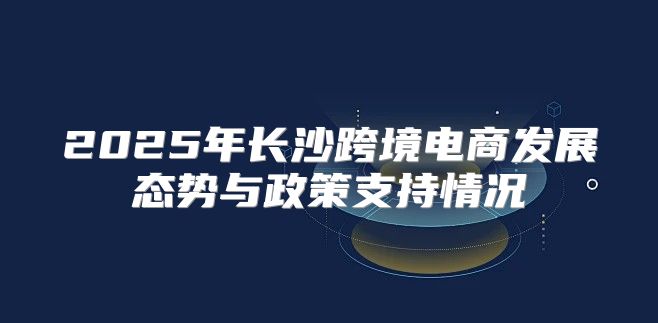 2025年长沙跨境电商发展态势与政策支持情况