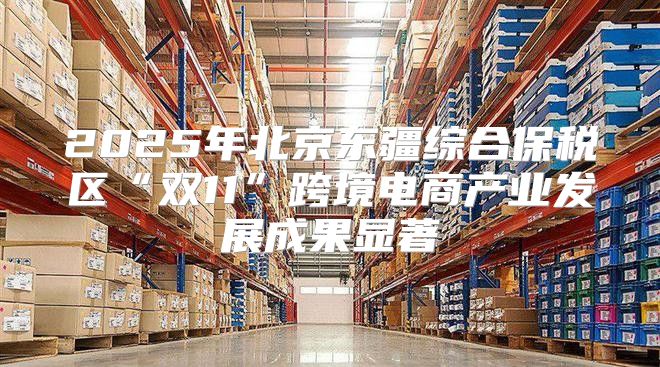 2025年北京东疆综合保税区“双11”跨境电商产业发展成果显著