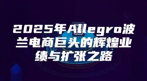 2025年Allegro波兰电商巨头的辉煌业绩与扩张之路