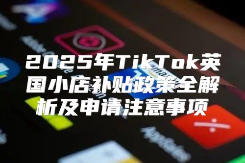 2025年TikTok英国小店补贴政策全解析及申请注意事项