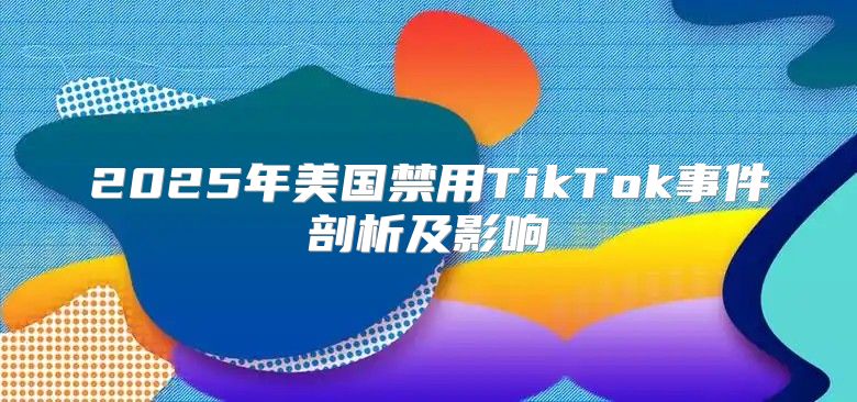 2025年美国禁用TikTok事件剖析及影响