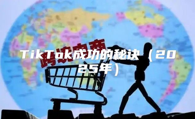 TikTok成功的秘诀2025年