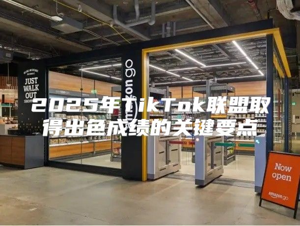 2025年TikTok联盟取得出色成绩的关键要点