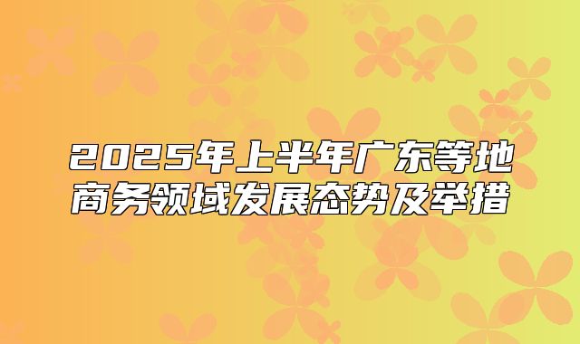 2025年上半年广东等地商务领域发展态势及举措