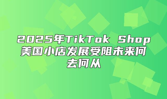 2025年TikTok Shop美国小店发展受阻未来何去何从