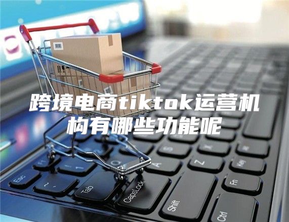 跨境电商tiktok运营机构有哪些功能呢