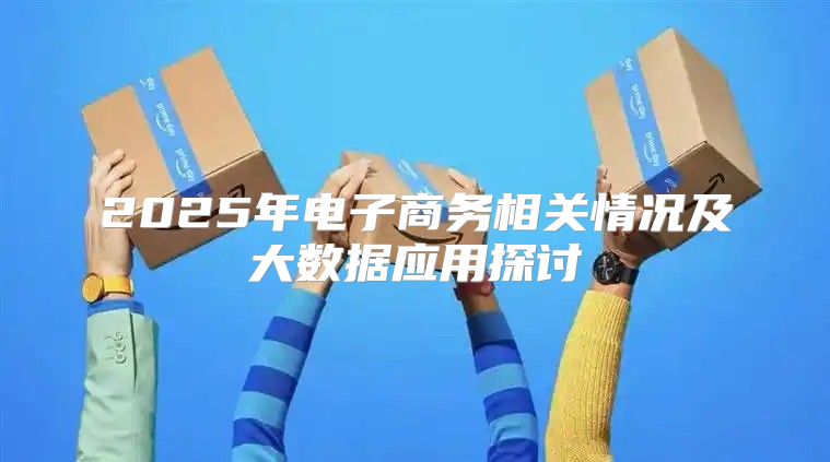2025年电子商务相关情况及大数据应用探讨
