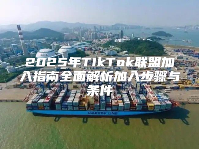 2025年TikTok联盟加入指南全面解析加入步骤与条件