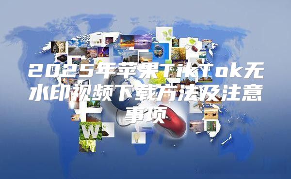 2025年苹果TikTok无水印视频下载方法及注意事项