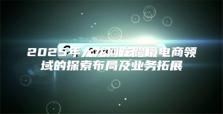 2025年大龙网在跨境电商领域的探索布局及业务拓展