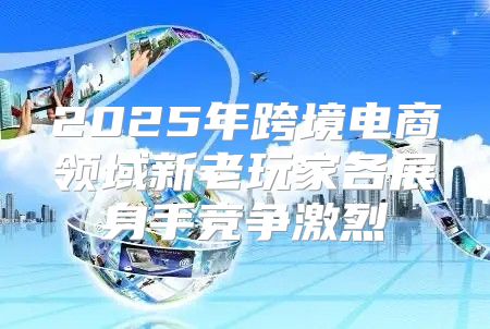 2025年跨境电商领域新老玩家各展身手竞争激烈