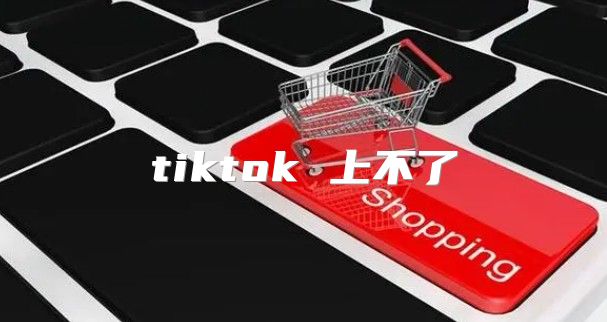 tiktok 上不了