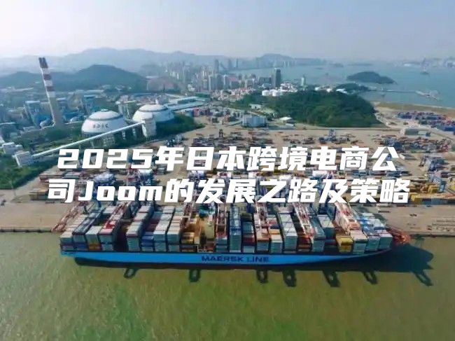 2025年日本跨境电商公司Joom的发展之路及策略