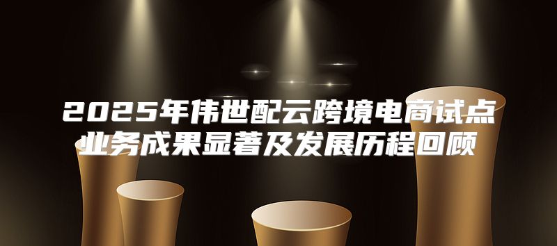 2025年伟世配云跨境电商试点业务成果显著及发展历程回顾
