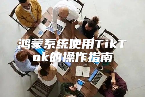 鸿蒙系统使用TikTok的操作指南