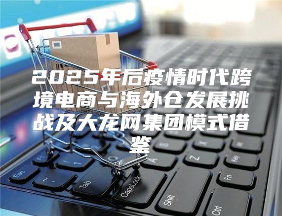 2025年后疫情时代跨境电商与海外仓发展挑战及大龙网集团模式借鉴