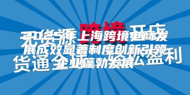 2025年上海跨境电商发展成效显著制度创新引领企业蓬勃发展