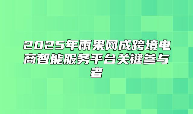 2025年雨果网成跨境电商智能服务平台关键参与者