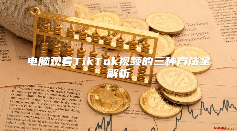 电脑观看TikTok视频的三种方法全解析