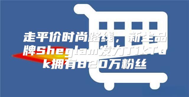 走平价时尚路线，新生品牌Sheglam发力TikTok拥有820万粉丝