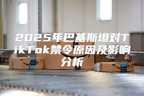 2025年巴基斯坦对TikTok禁令原因及影响分析