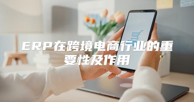 ERP在跨境电商行业的重要性及作用