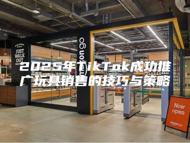 2025年TikTok成功推广玩具销售的技巧与策略